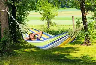 Hammock Park