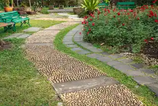 Sensory Pathway